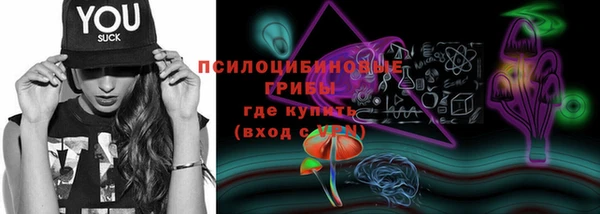 прущий лед Лиски