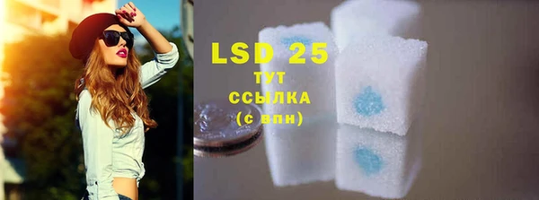 спиды Липки