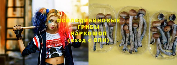 спиды Липки